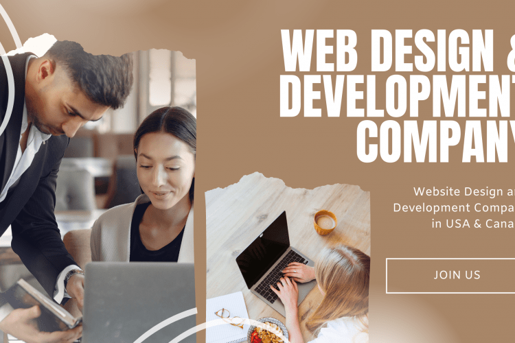 How to Find a Professional Web Design and Development Company in the USA (2)