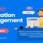 Elevate Your Brand with Effective Online Reputation Management